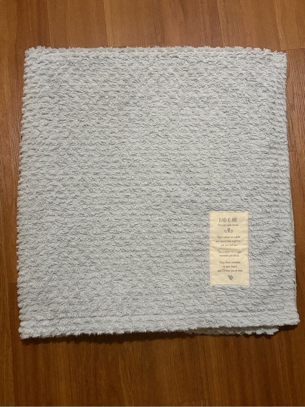 Demdaco “Dad & Me” Cuddle Blanket in Light Gray Baby Blanket Soft 58 x 58 in EUC